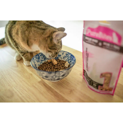 LifeStyle of PureBites Wild Pacific Salmon Freeze-Dried Cat Treats 0.92-oz