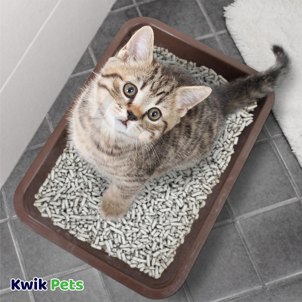 LifeStyle of Breeder Celect Recycled Paper Cat Litter 14-lb