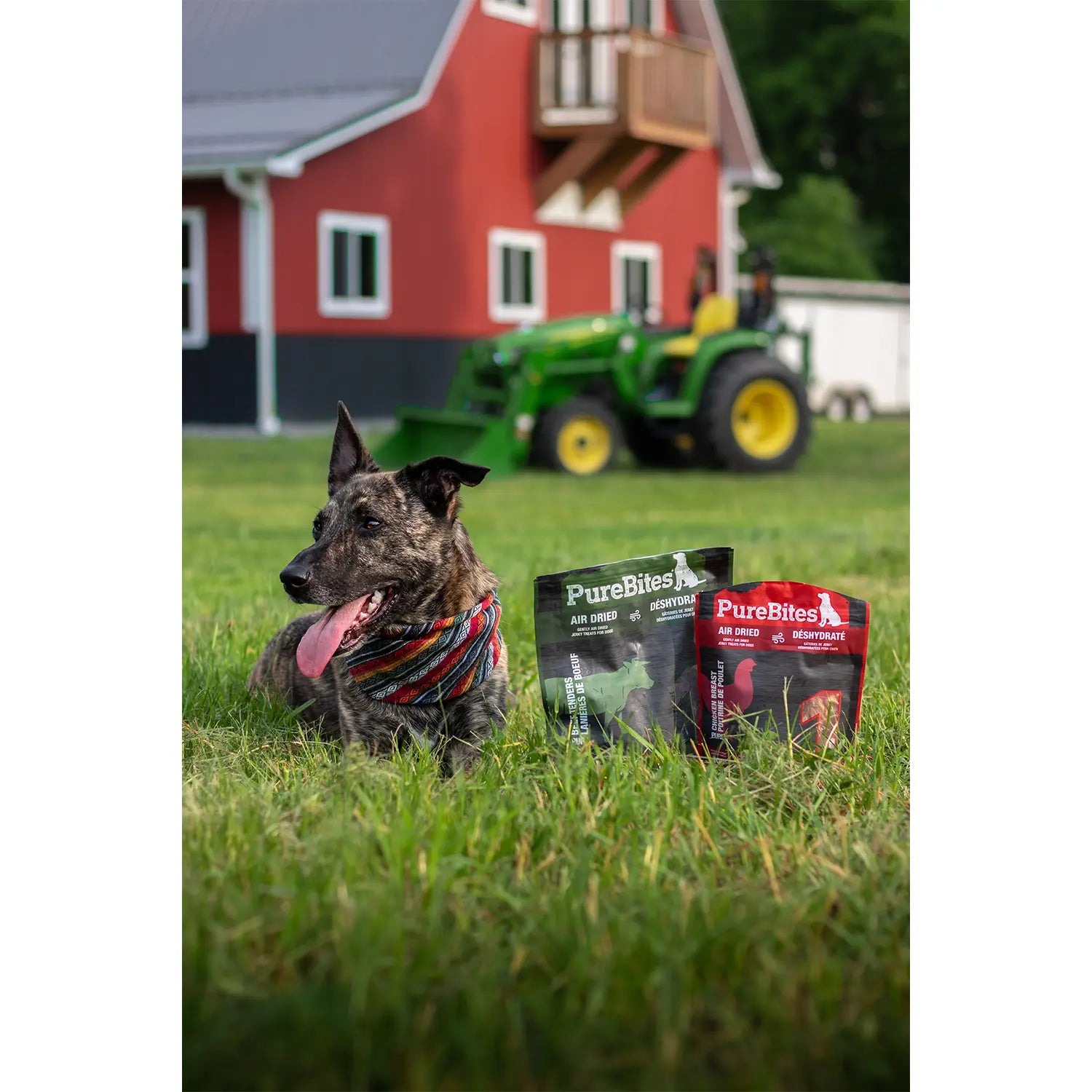 LifeStyle of PureBites Beef Tenders Air-Dried Pure Jerky Dog Treats 7.5-oz