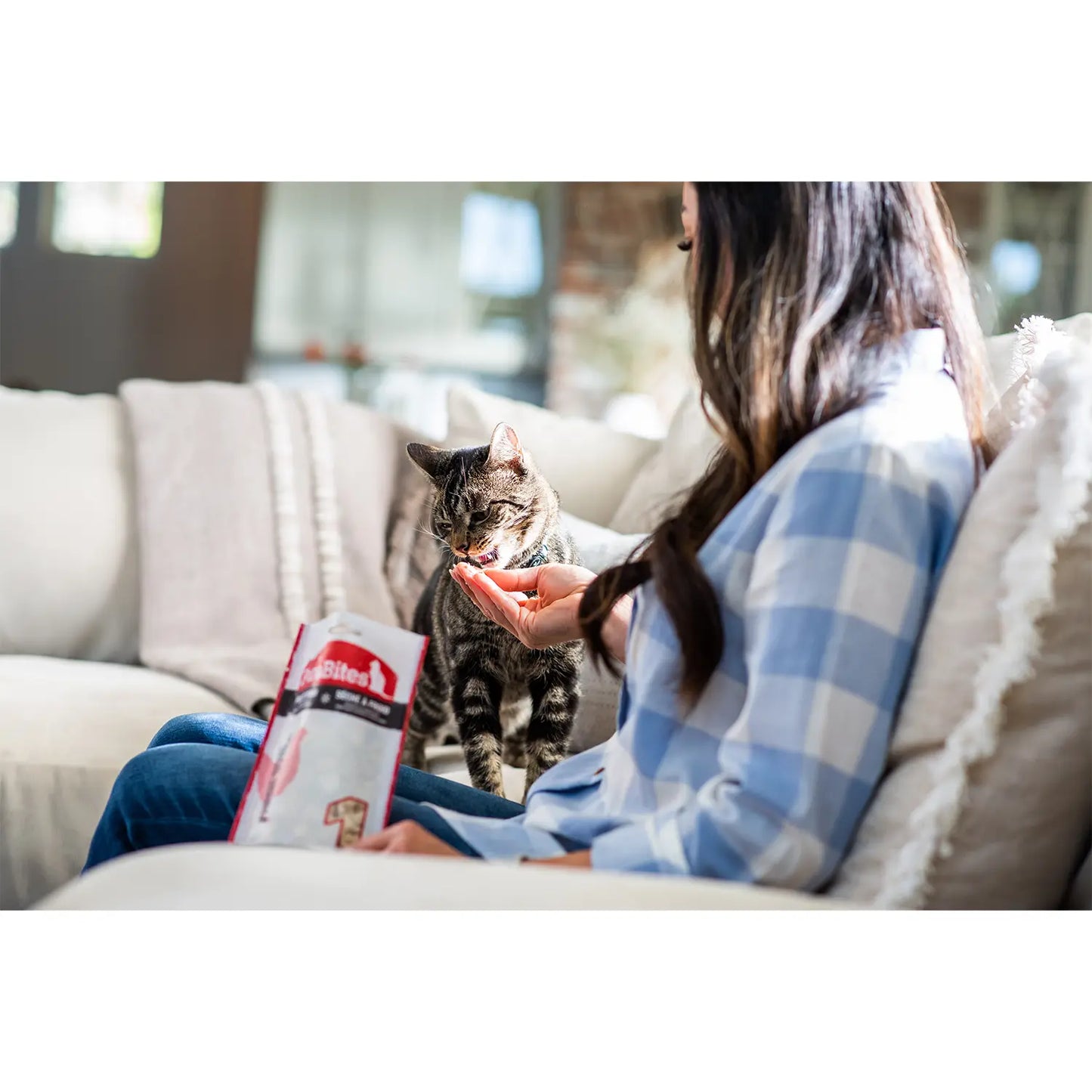 LifeStyle of PureBites Chicken Breast Freeze-Dried Cat Treats 1.09-oz