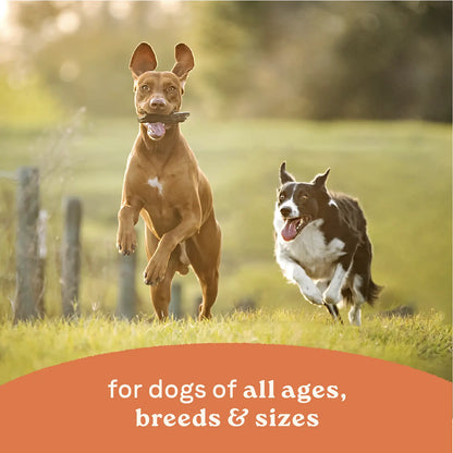 LifeStyle of CANIDAE All Life Stages Chunky Stew Wet Dog Food Topper Chicken & Vegetable 12.7-oz