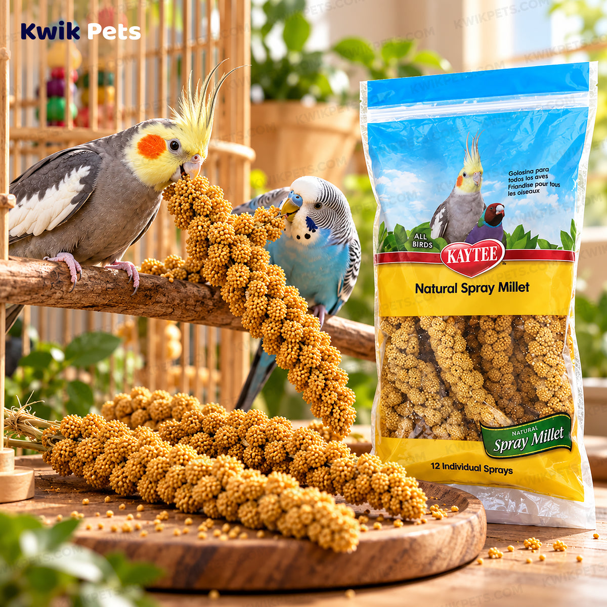 Lifestyle of Kaytee Natural Spray Millet Bird Treats 12 Count 7-oz