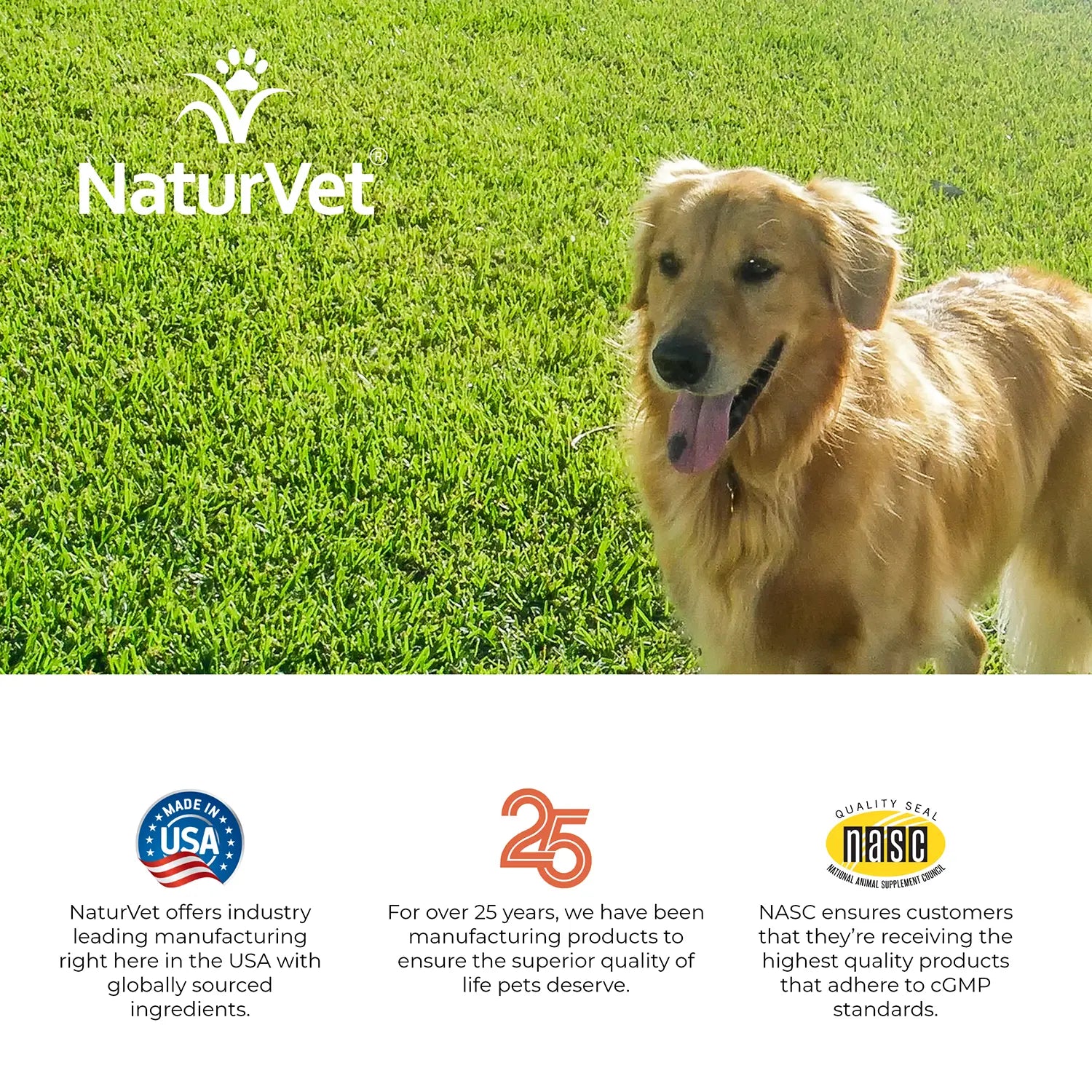 NaturVet GrassSaver Dog Biscuits Peanut Butter 22.2-oz, Kwik Pets