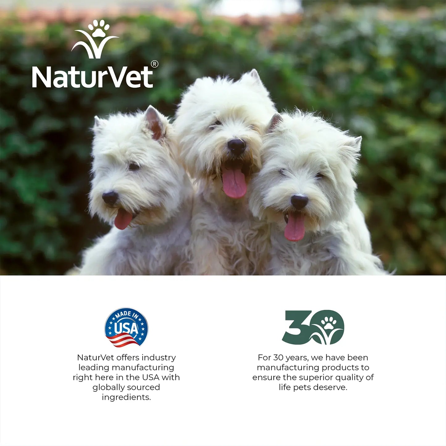 LifeStyle of NaturVet Tear Stain Topical Remover for Dogs & Cats 4-oz