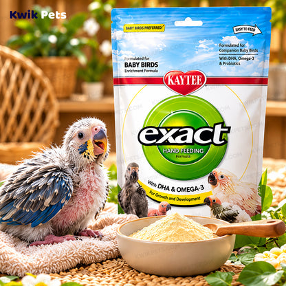 Lifestyle of Kaytee Exact Handfeeding Formula for Baby Birds 7.5-oz
