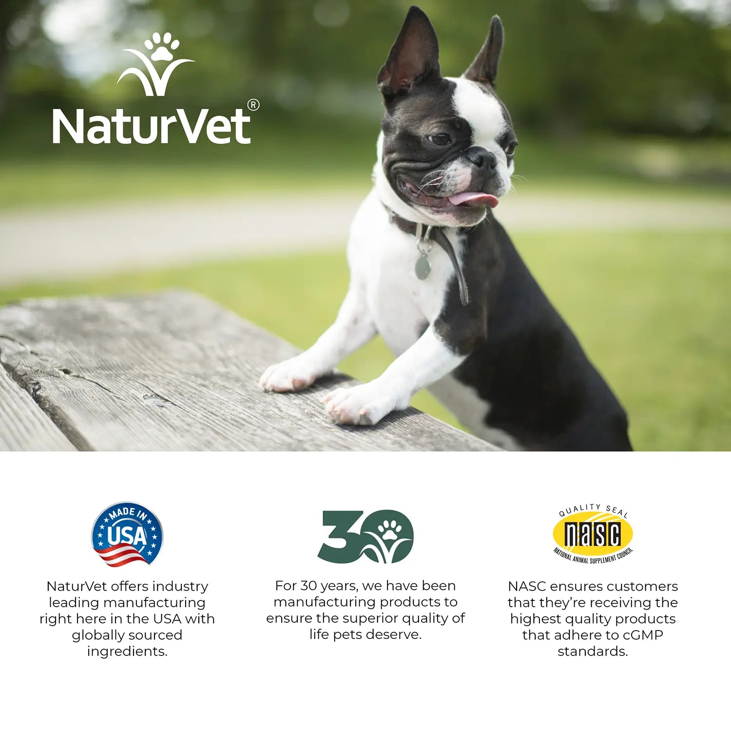 LifeStyle of NaturVet Advanced Probiotic & Enzymes Powder for Dogs & Cats 4-oz