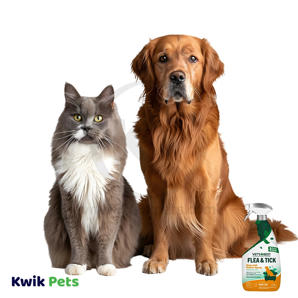 Lifestyle of Veterinarian's Best Natural Flea and Tick Home Spray 32-oz