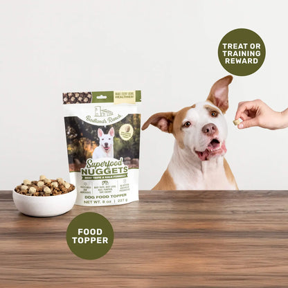 LifeStyle of Badlands Ranch Superfood Nuggets Freeze-Dried Raw Dog Treats Beef Tripe & Kale 8-oz