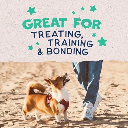 LifeStyle of Natural Balance Pet Foods Rewards Bite-Size Crunchy Biscuits Small Breed Dog Treats Chicken 8-oz