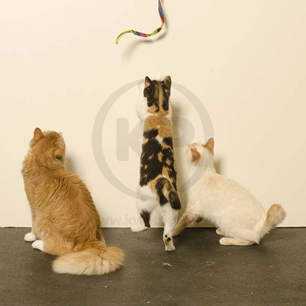 LifeStyle of Cat Dancer Products Charmer Cat Toy Multicolor One Size