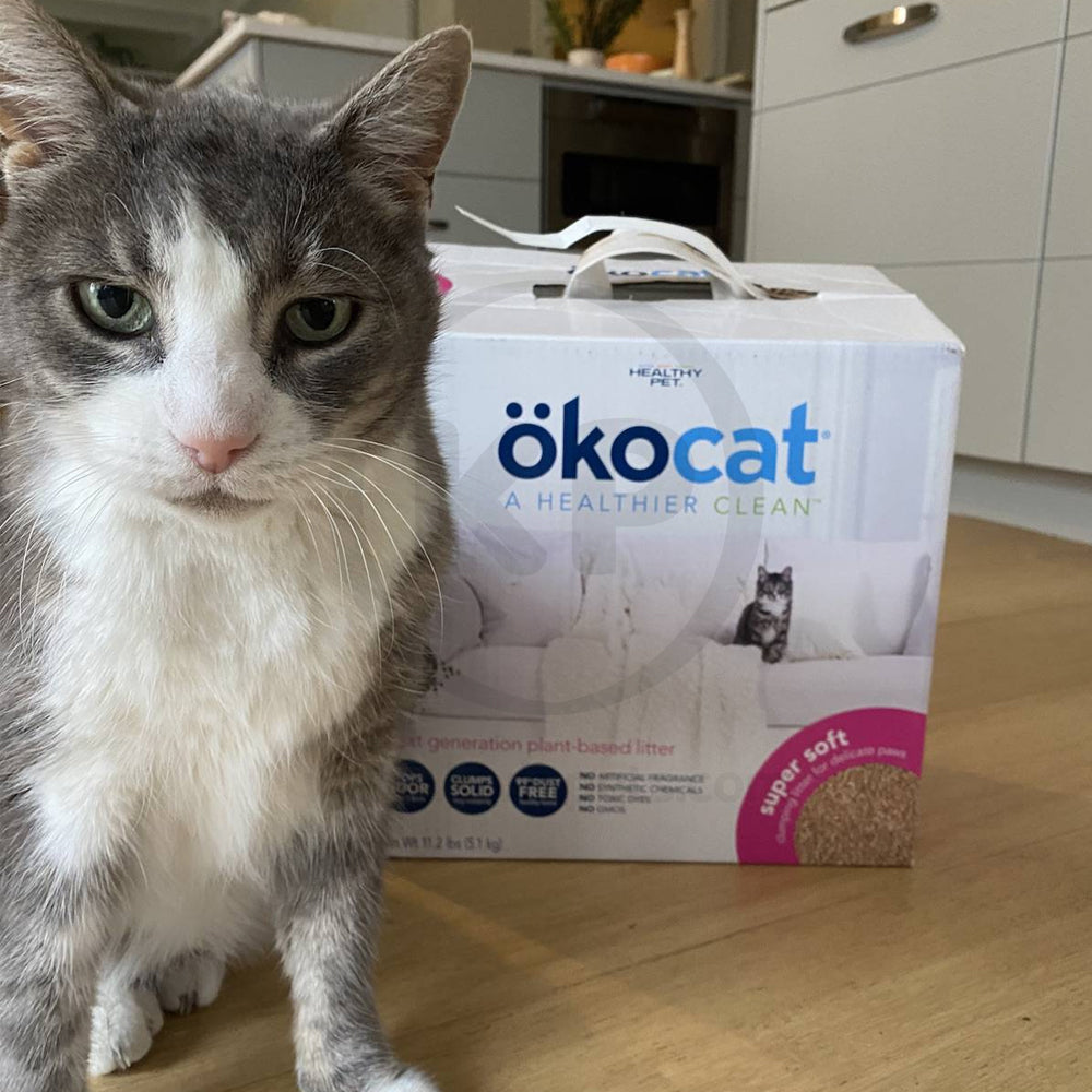 LifeStyle of Okocat Natural Wood Clumping Cat Litter 9.9-lb
