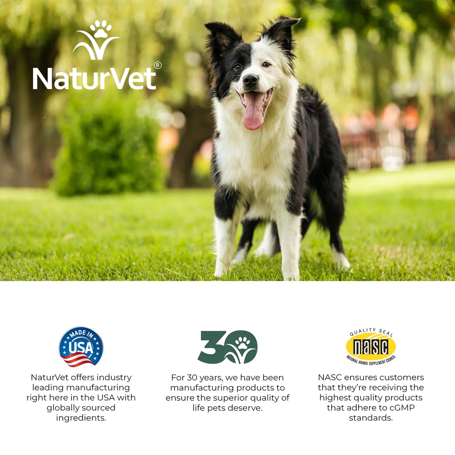 LifeStyle of NaturVet VitaPet Adult Daily Vitamins Plus Breath Aid Soft Chews for Dogs 60 Count 6.3-oz