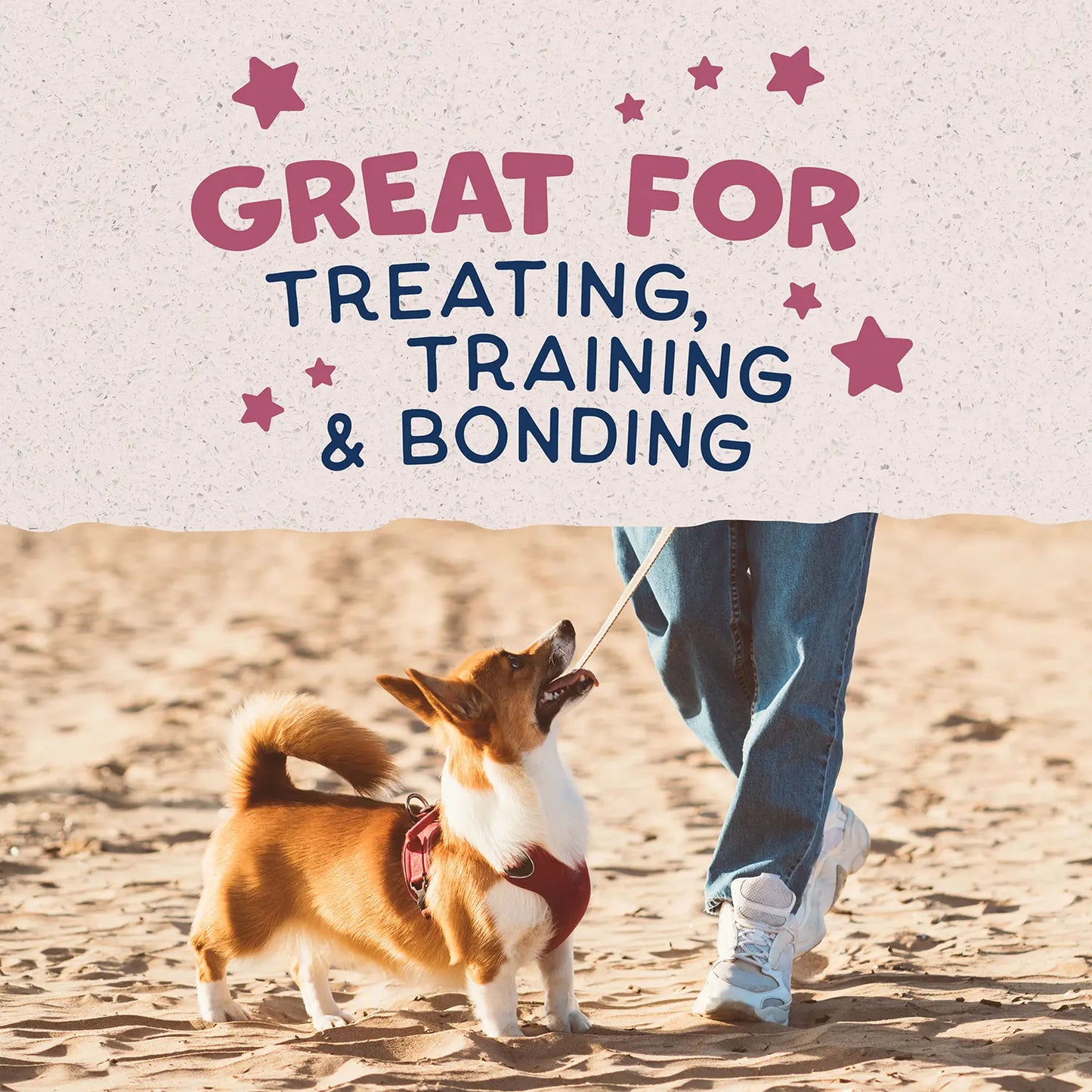 LifeStyle of Natural Balance Pet Foods Rewards Bite-Size Crunchy Biscuits Small Breed Dog Treats Venison 8-oz