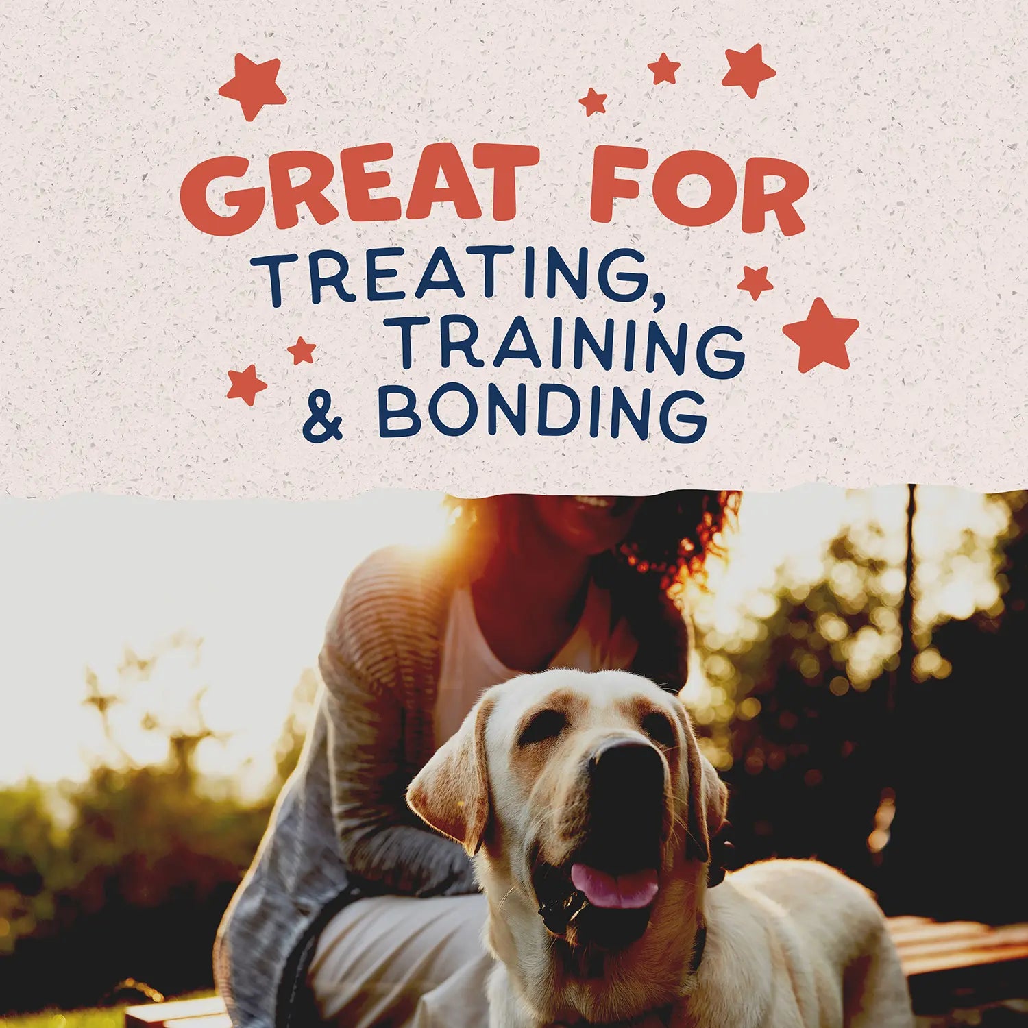 LifeStyle of Natural Balance Pet Foods Rewards Crunchy Biscuits Dog Treats Salmon 14-oz