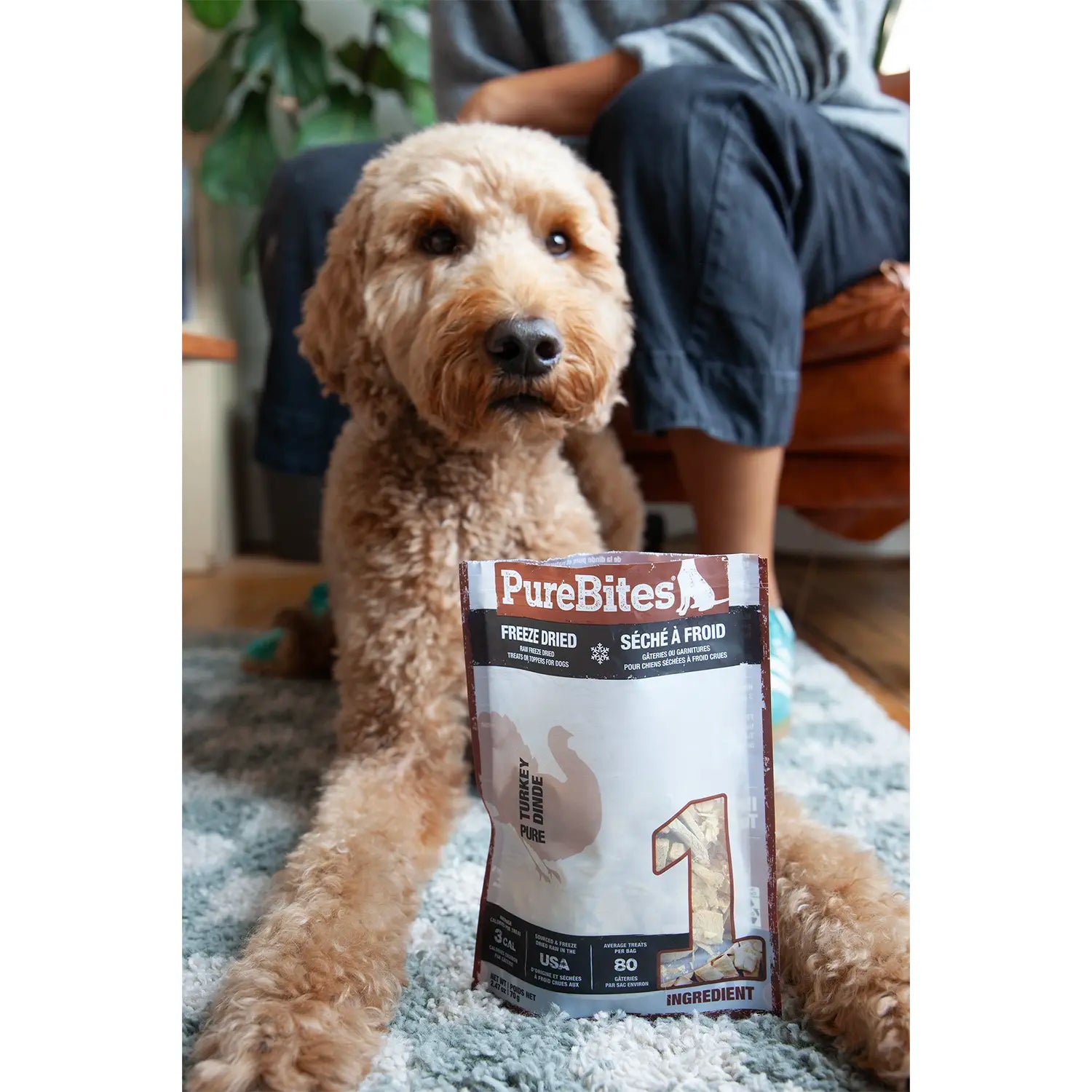 LifeStyle of PureBites Turkey Breast Freeze-Dried Dog Treats 2.47-oz