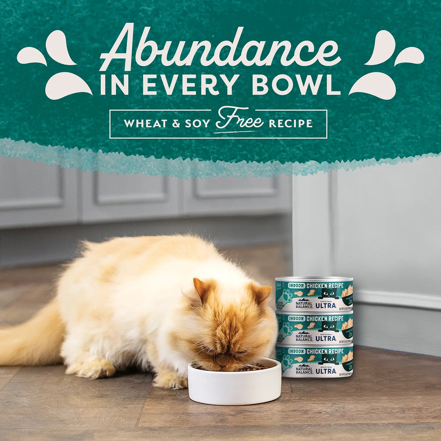 LifeStyle of Natural Balance Pet Foods Original Ultra Indoor Canned Cat Food Chicken Formula 5.5-oz