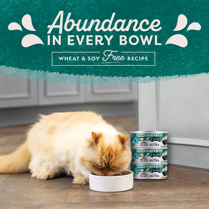 LifeStyle of Natural Balance Pet Foods Original Ultra Indoor Canned Cat Food Chicken Formula 5.5-oz