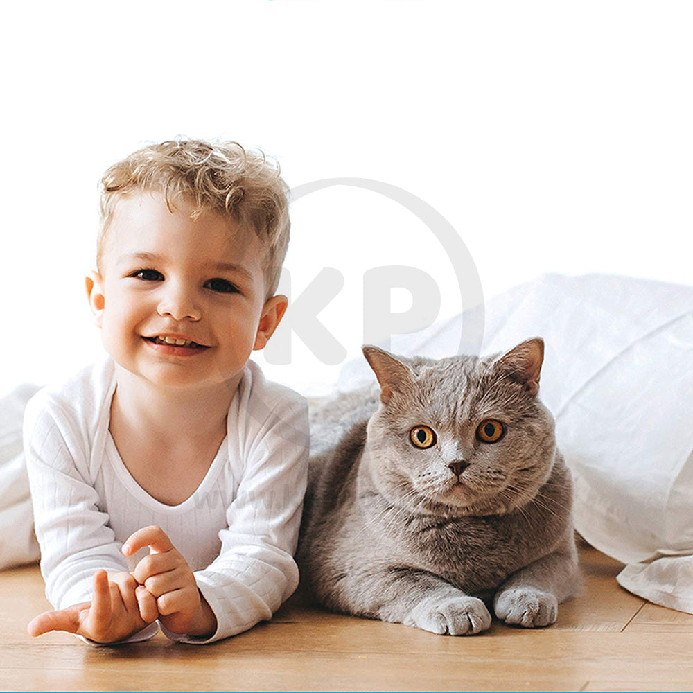 LifeStyle of Okocat Original Premium Clumping Wood Cat Litter 9-lb
