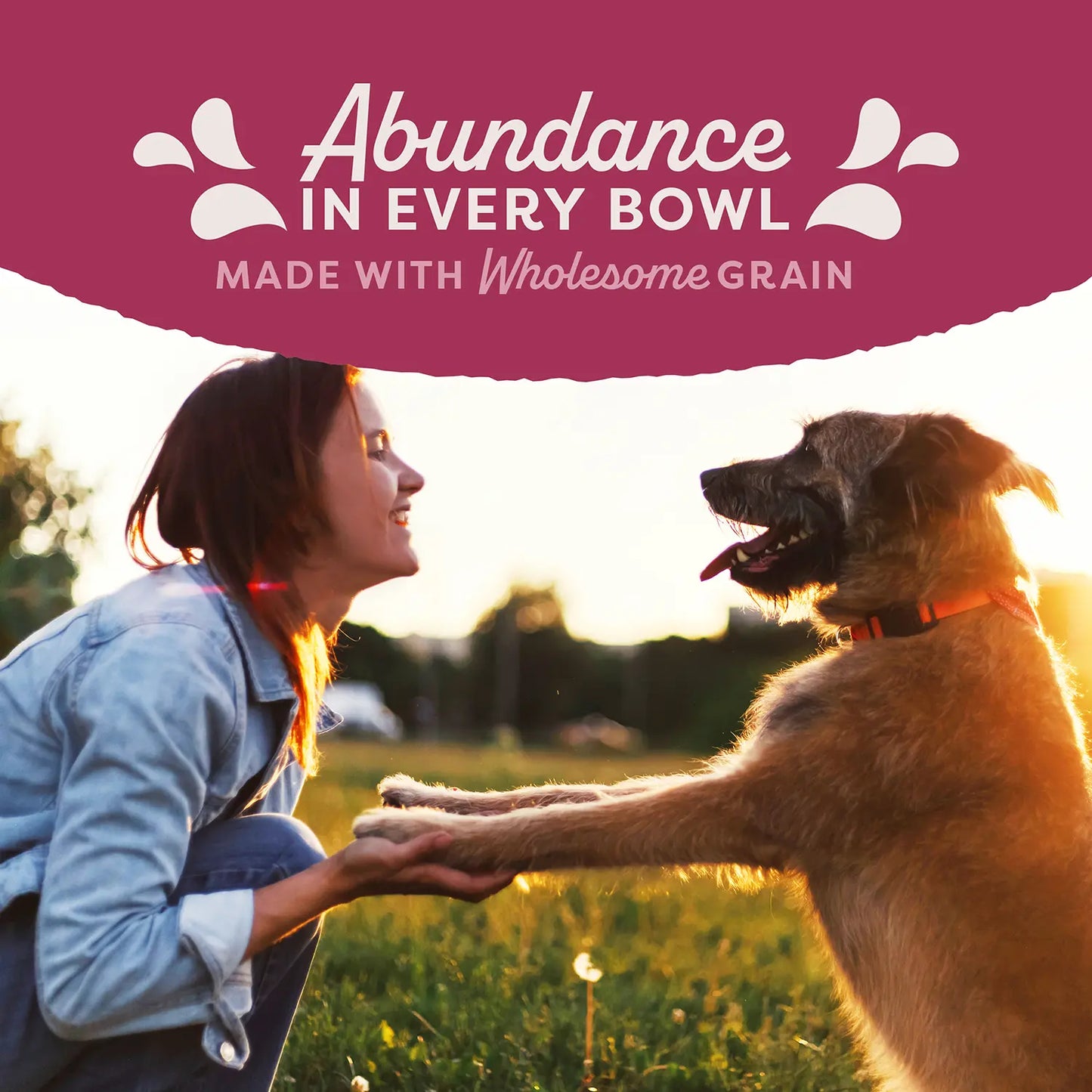 LifeStyle of Natural Balance Pet Foods Original Ultra Fat Dogs Canned Dog Food Chicken & Salmon 13-oz