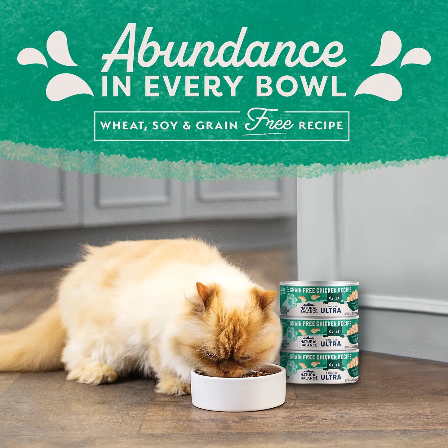 LifeStyle of Natural Balance Pet Foods Original Ultra Grain Free Canned Cat Food Chicken 5.5-oz