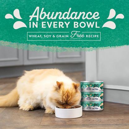 LifeStyle of Natural Balance Pet Foods Original Ultra Grain Free Canned Cat Food Chicken 5.5-oz