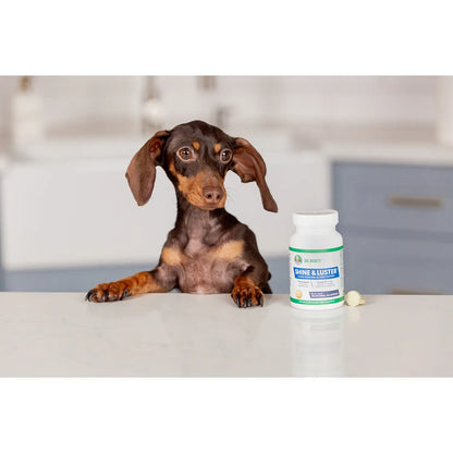 LifeStyle of Dr. Marty Shine & Luster Canine Seasonal Allergy Support Dog Chewable Tablet 60 Count
