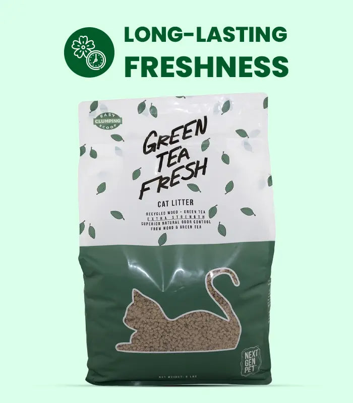 Cat Litter