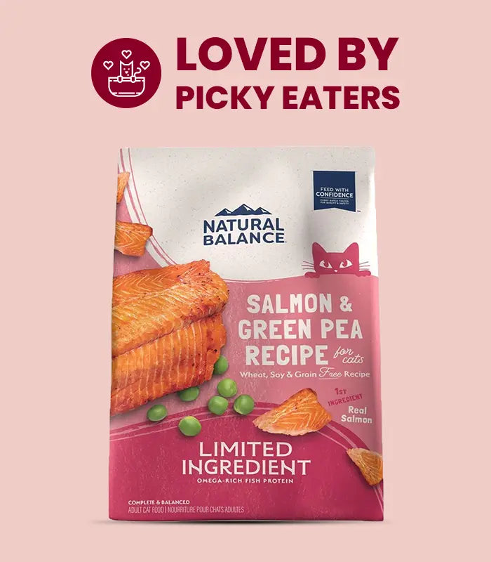 Cat Food