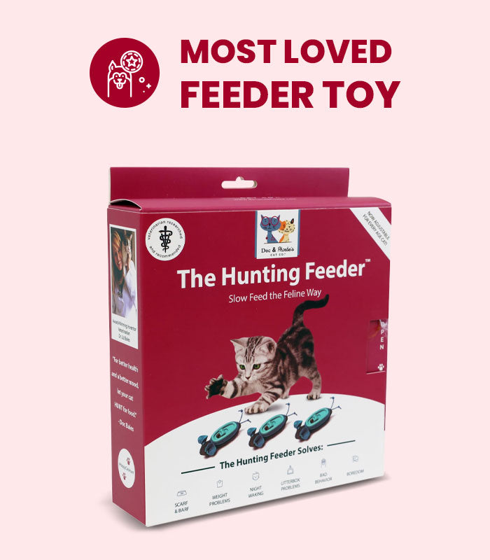 Cat Feeders