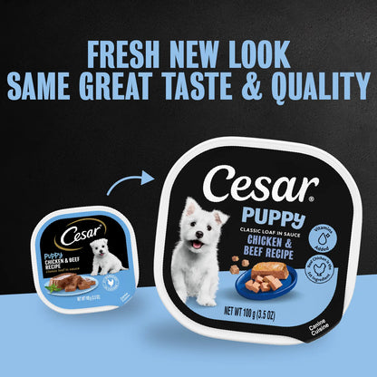 New Look of Cesar Classic Loaf in Sauce Puppy Wet Dog Food Chicken & Beef 3.5-oz