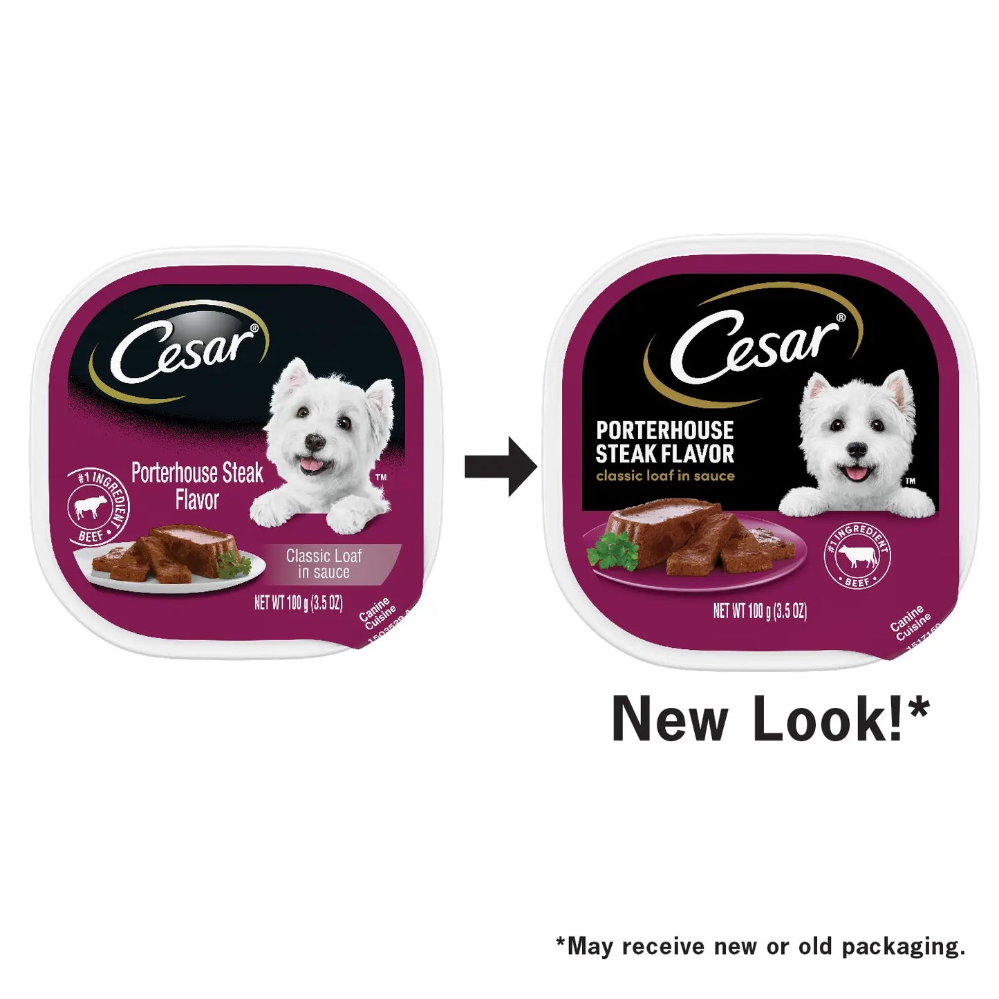 New Look of Cesar Classic Loaf in Sauce Adult Wet Dog Food Porterhouse Steak 3.5-oz