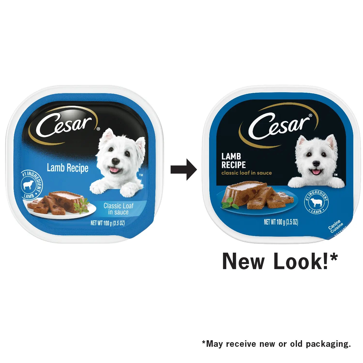 New Look of Cesar Classic Loaf in Sauce Adult Wet Dog Food Lamb 3.5-oz