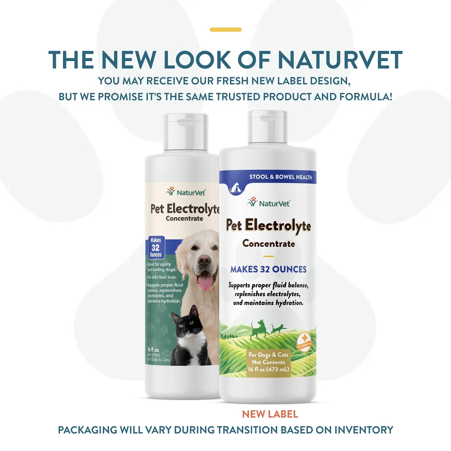 NewLook of NaturVet Pet Electrolyte Concentrate for Dogs & Cats 16-oz