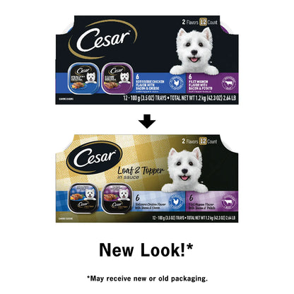 New Look of Cesar Loaf & Topper in Sauce Adult Wet Dog Food Variety Pack Rotisserie Chicken, Filet Mignon 12 Count 3.5-oz