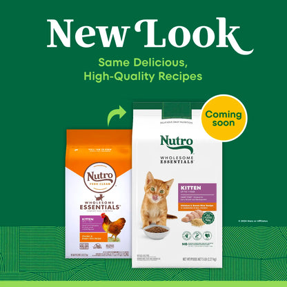 New Look of Nutro Wholesome Essentials Chicken & Brown Rice Early Development Kitten Dry Cat Food 5-lb