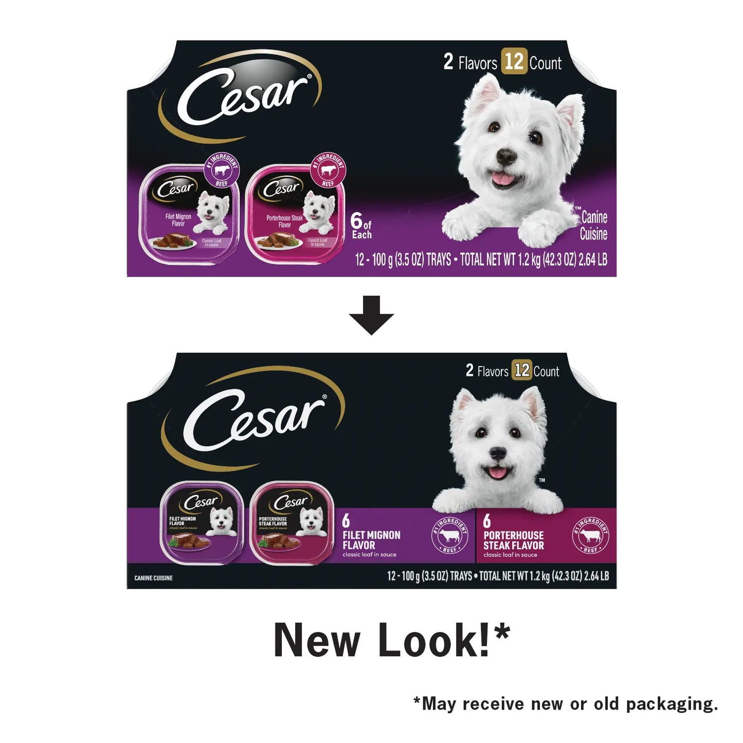 New Look of Cesar Classic Loaf in Sauce Adult Wet Dog Food Variety Pack Filet Mignon & Porterhouse Steak 12 Count 42.3-oz