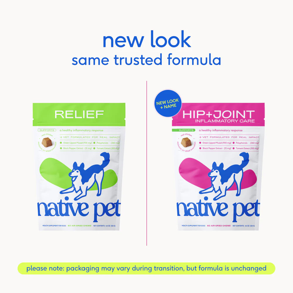 Native Pet Hip & Joint Inflammatory Care Chews Supplement for Dogs 30 Count, Kwik Pets