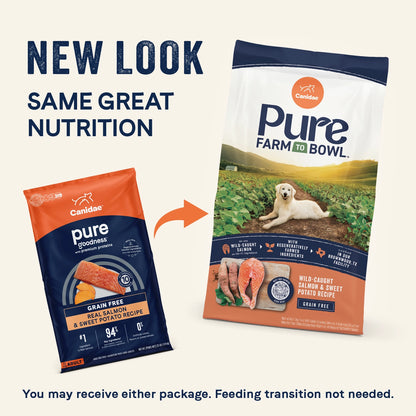 New Look of Canidae Pure Goodness Grain-Free Puppy Dry Food Real Salmon & Sweet Potato Recipe 4-lb