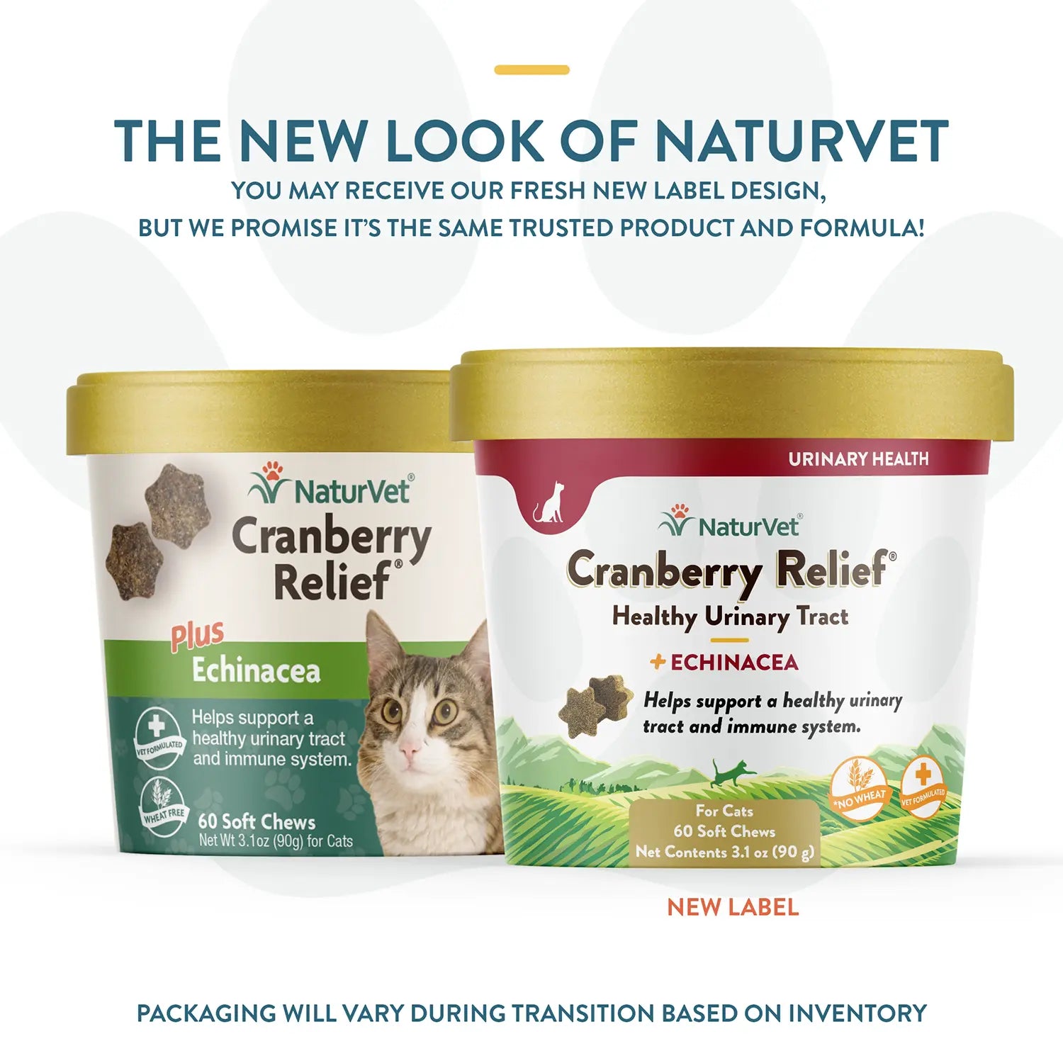 NewLook of NaturVet Cranberry Relief Plus Echinacea Soft Chews for Cats 60 Count 3.1-oz
