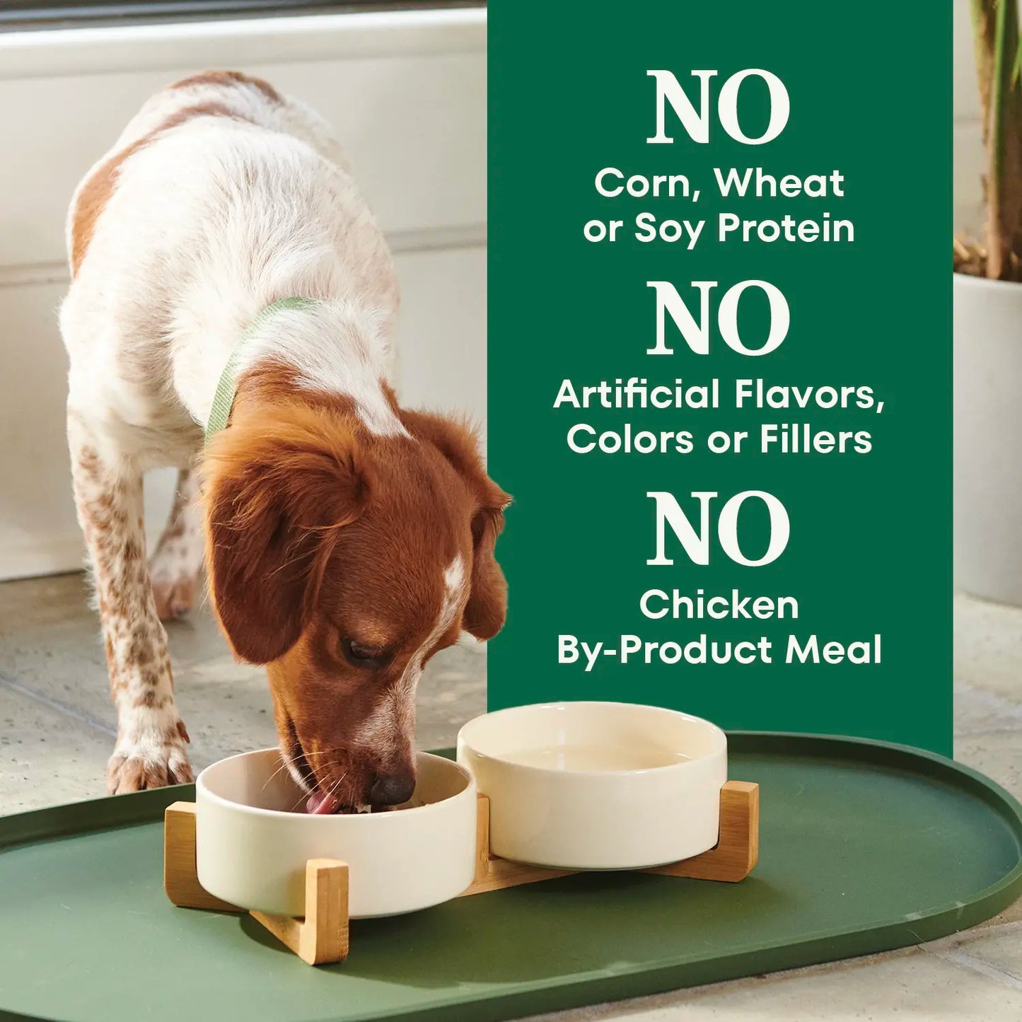No Baddies Nutro Natural Choice Lamb & Brown Rice Small Bites Adult Dry Dog Food 5-lb
