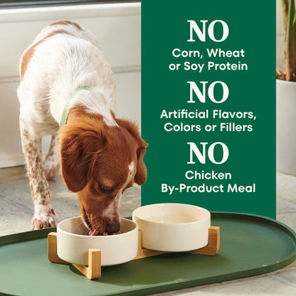 No Baddies Nutro Natural Choice Lamb & Brown Rice Small Bites Adult Dry Dog Food 5-lb