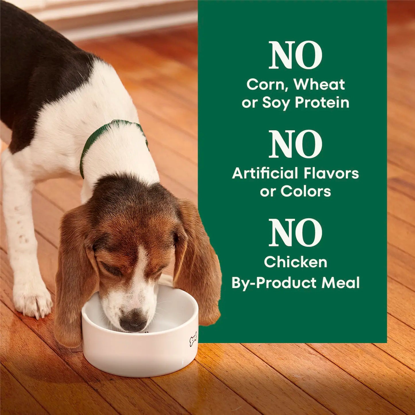 No Baddies Nutro Natural Choice Lamb & Brown Rice Puppy Dry Food 4.5-lb