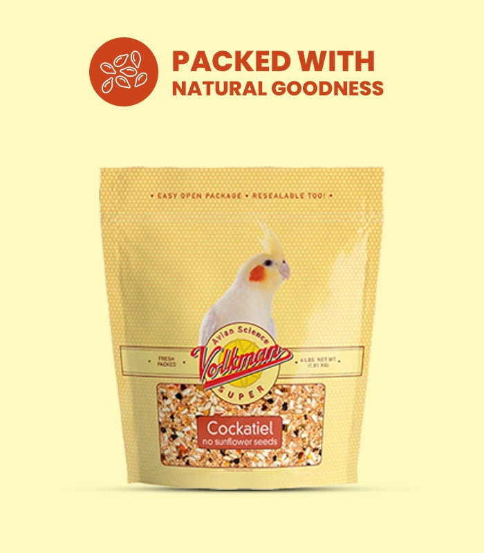 Bird Treats