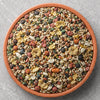 Parakeet Food