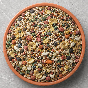 Parakeet Food