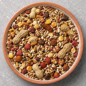 Parrot Food