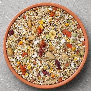 Pet Bird Food