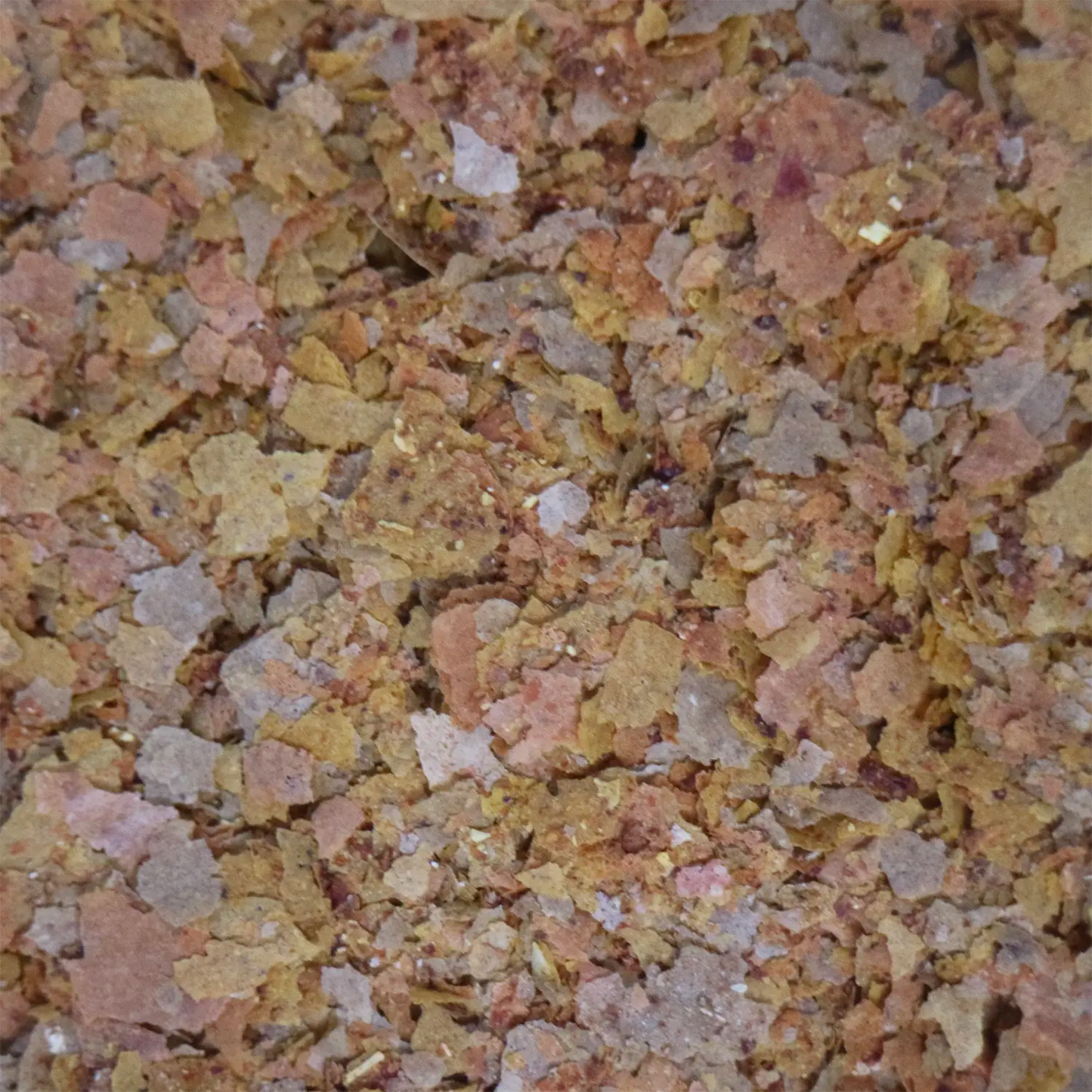 Product of API Tropical Premium Flakes Fish Food 1.1-oz