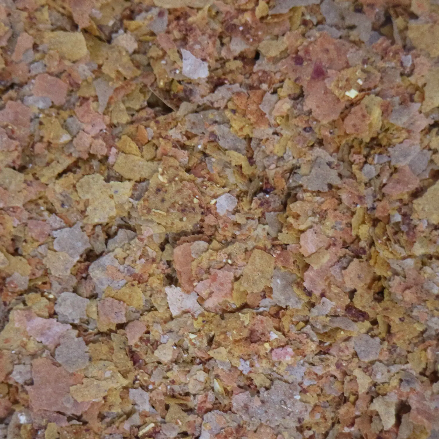 Product of API Tropical Premium Flakes Fish Food 1.1-oz