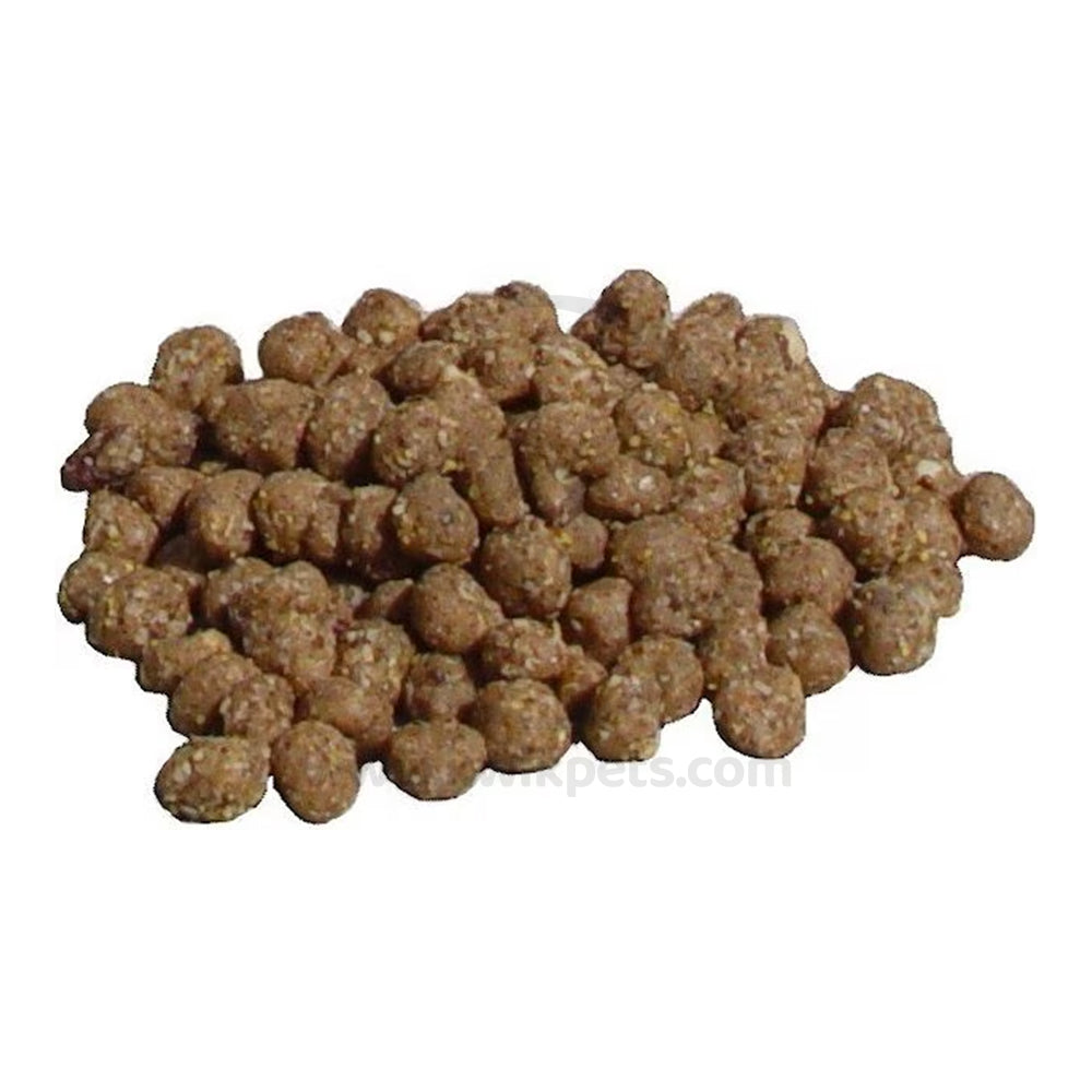 Food of C&S Sunflower Suet Nuggets for Wild Birds 27-oz